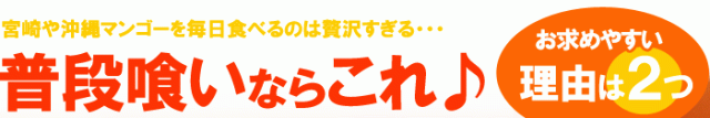 普段食いならこれ