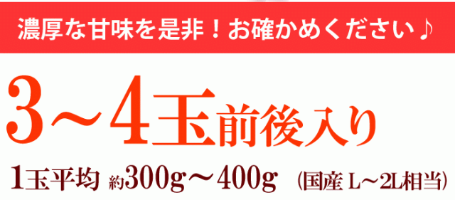 台湾マンゴー詳細案内