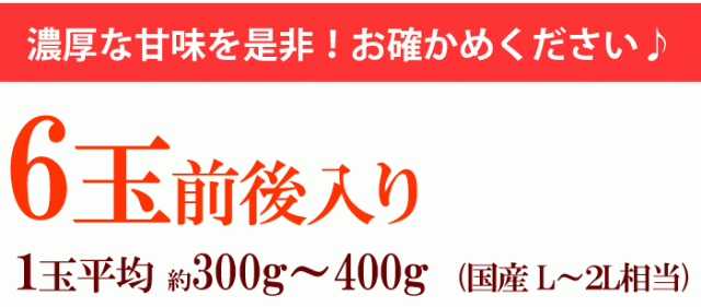 台湾マンゴー詳細案内