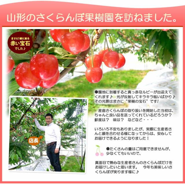 山形のさくらんぼ農園を訪問しました