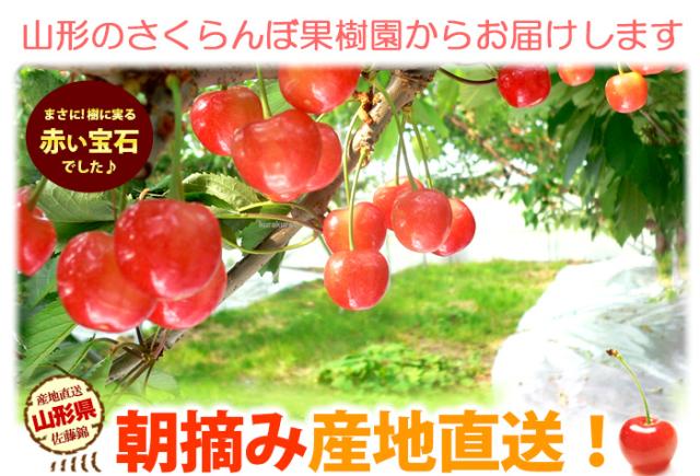 山形県から産地直送します