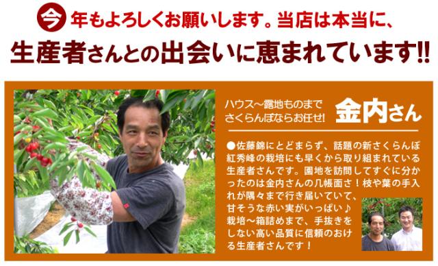 山形県のさくらんぼ生産者、金内さん