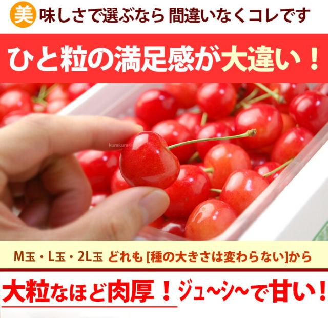 大粒サイズのイメージ