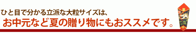 お中元など夏のギフトに