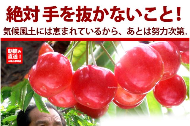 東根のさくらんぼ果樹園より