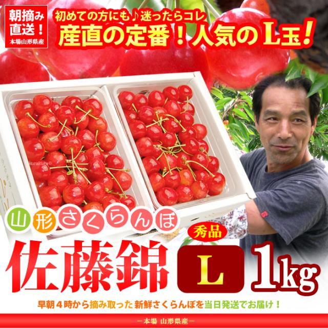 さくらんぼ佐藤錦の販売/通販/お取り寄せ