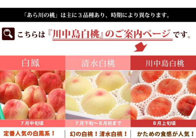 あら川の桃販売品種・川中島白桃