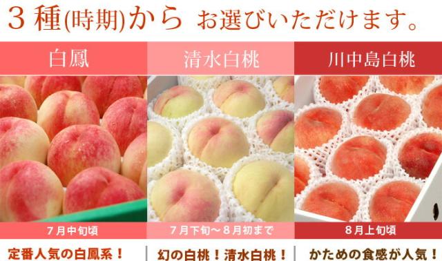 3つの品種（時期）から選択