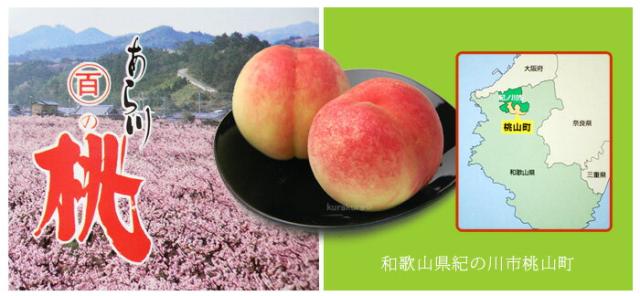 桃源郷