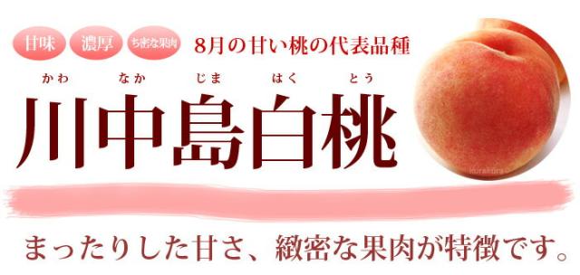 川中島白桃とは？