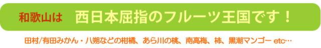 日本屈指の果樹王国