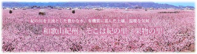 紀の里の桃園
