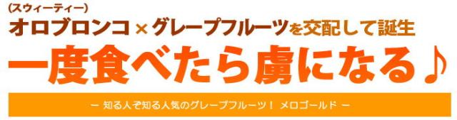 メロゴールドとは？