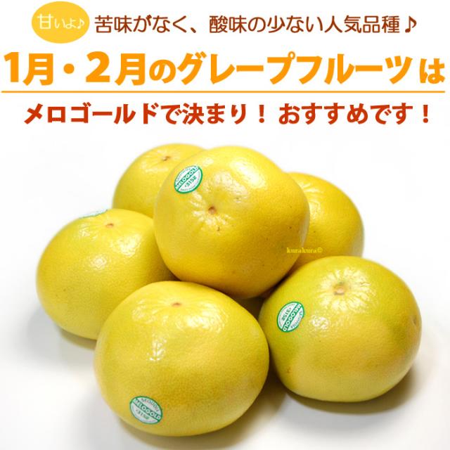 1〜2月のグレープフルーツはメロゴールド！