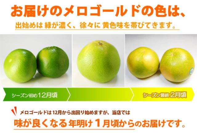 メロゴールドの外観色