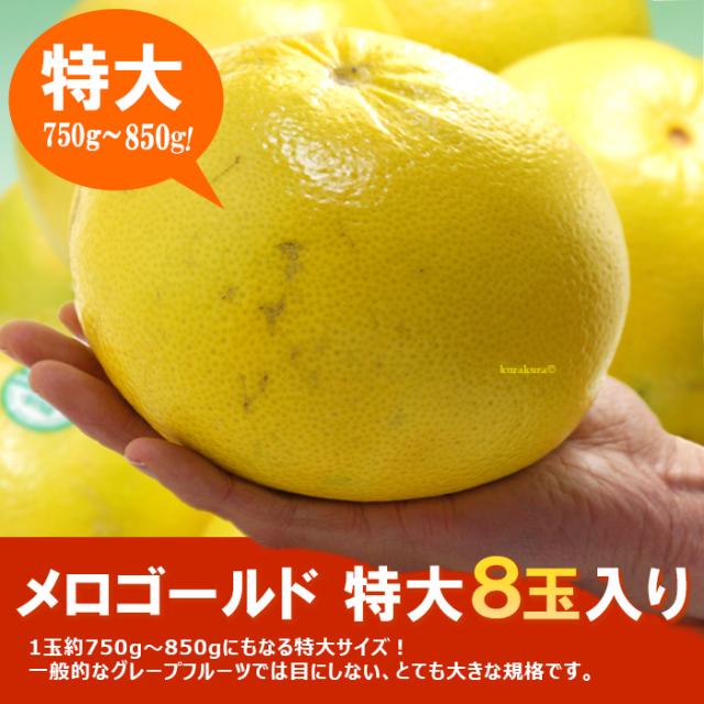 メロゴールド特大8玉入り販売