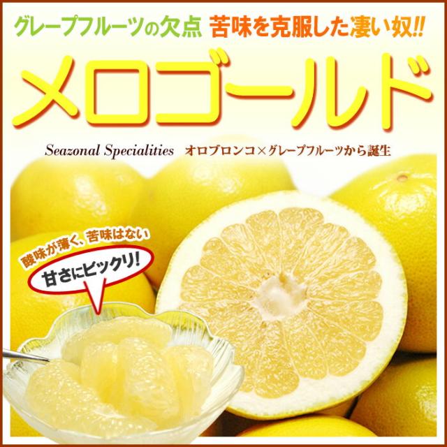 メロゴールド特大玉の販売