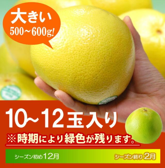 メロゴールド10〜12玉入りの販売