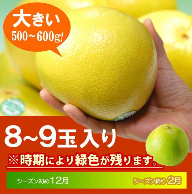 メロゴールド8〜9玉入りの販売