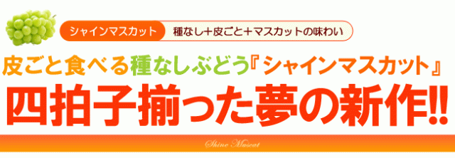 皮ごと種なしぶどうの新作!シャインマスカット
