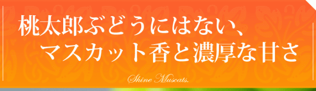 マスカット香と濃厚な甘味!