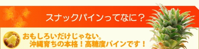 スナックパインってなに?