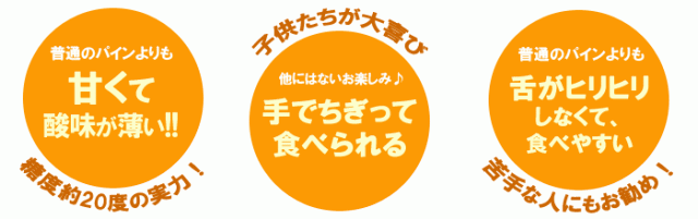 スナックパインの特徴