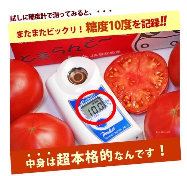 本格派の高糖度フルーツトマトです!