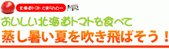 おすすめの北海道トマトです
