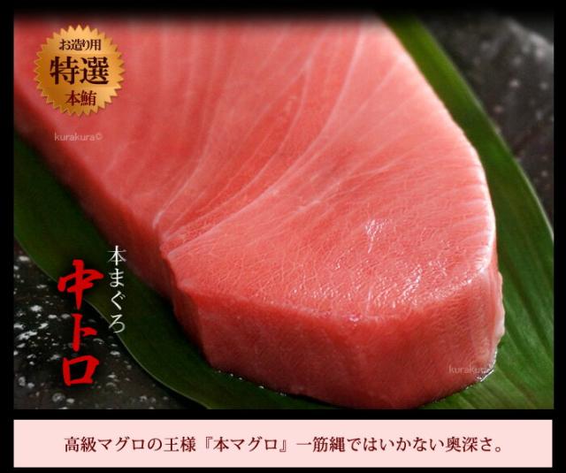 本マグロ中トロの刺身盛
