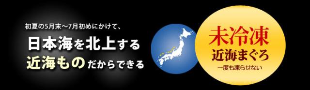 天然本マグロの近海ものを未冷凍で