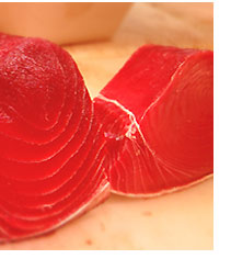 寿司やスタイルの生マグロブロック販売