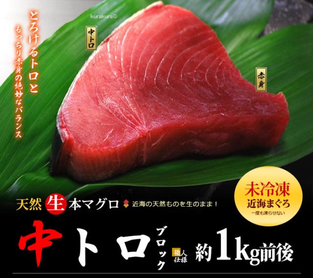 天然生本マグロ中トロブロックのご案内