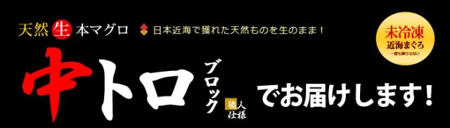 中トロブロックで販売します