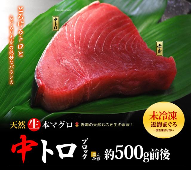 天然生本マグロ中トロブロックのご案内