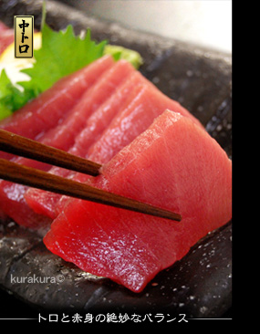天然生本マグロのしつこくない上質な大トロ