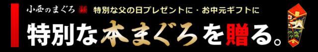 特別な本マグロを贈る