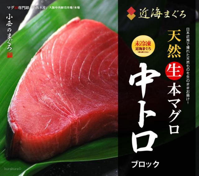 天然生本マグロ中トロブロックの販売/通販