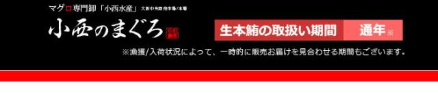 生本マグロ取扱い期間は通年