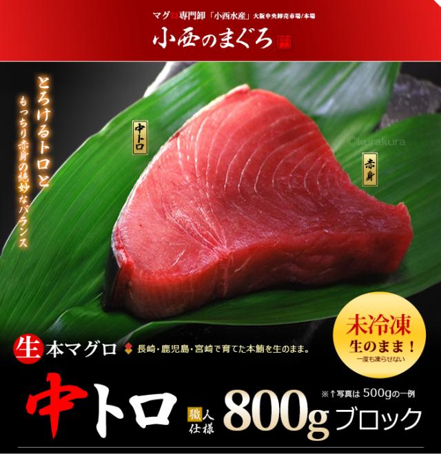 未冷凍！生本マグロ中トロ800gブロックのご案内