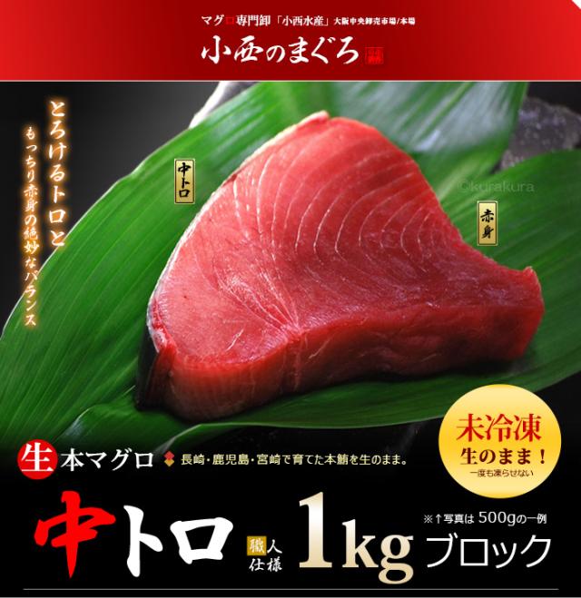 未冷凍！生本マグロ中トロ1kgブロックのご案内