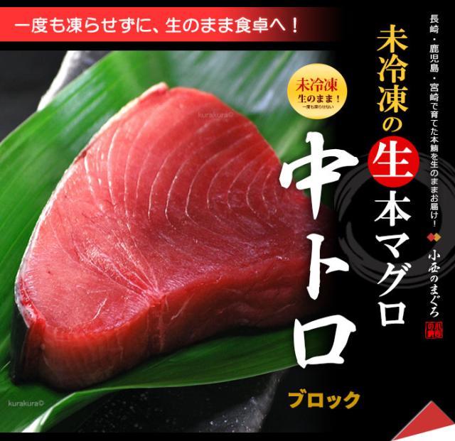 未冷凍！生本マグロ中トロブロックの販売/通販