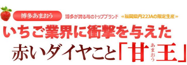 あまおう甘王イチゴは赤いダイヤ