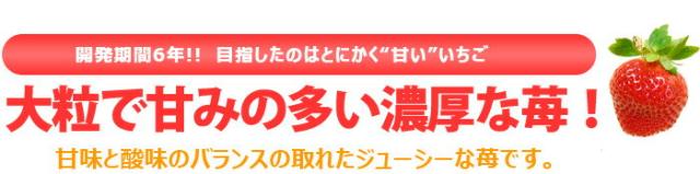 あまおう甘いイチゴを目指した