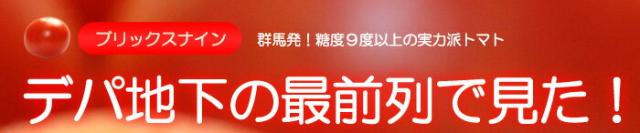 デパ地下で高評価ブリックスナイン