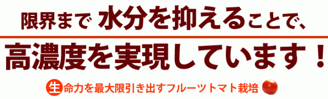 群馬県太田市のトマト