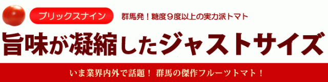 ブリックスナインのお届け販売詳細