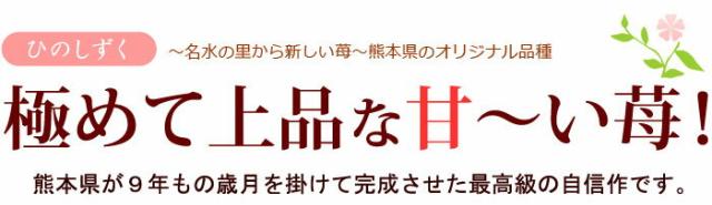 熊本の新イチゴひのしずく