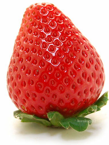 赤くて色艶のいいイチゴ