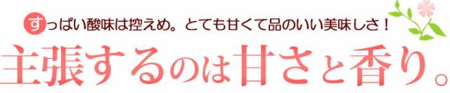 ひのしずく甘さと香り自慢